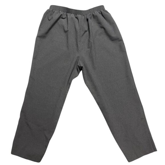 Just For Women  Pull On/Elastic Waist  Dress Pants  Size 24W in Gray - Picture 2 of 3